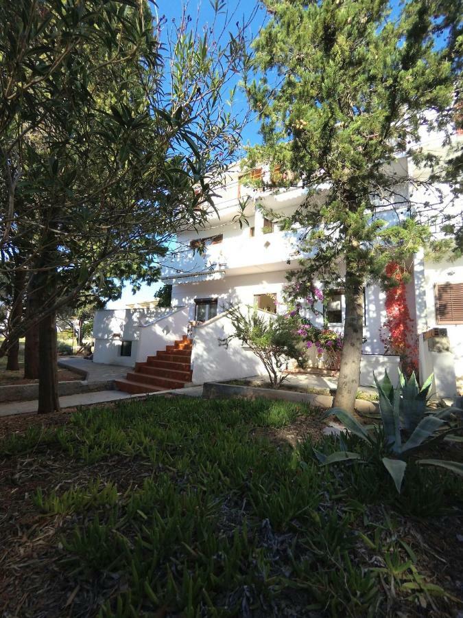 Apartment Novalja *